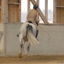 Ronja 2008