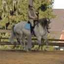 Ronja 2008