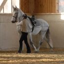 Ronja 2008