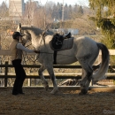 Ronja 2008