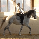 Ronja 2008
