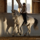 Ronja 2008