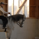 Ronja 2008