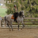 Ronja 2008