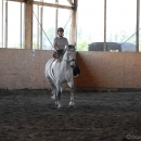 Ronja 2008