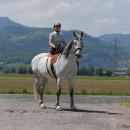 Ronja 2008