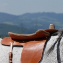 Ronja 2008