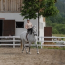 Scheidecker.com