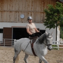 Scheidecker.com