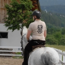 Scheidecker.com