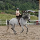 Scheidecker.com