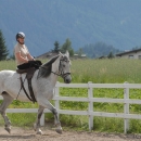 Scheidecker.com