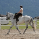 Scheidecker.com
