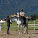 Scheidecker.com
