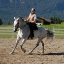 Scheidecker.com