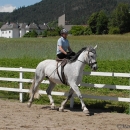 Scheidecker.com