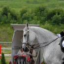 Ronja 2008