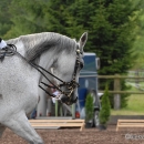 Ronja 2008