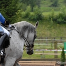 Ronja 2008