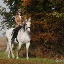Ronja 2008