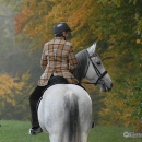 Ronja 2008
