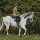Ronja 2008