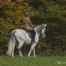 Ronja 2008