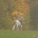 Ronja 2008