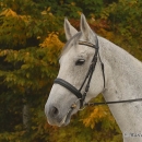 Ronja 2008