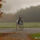 Ronja 2008