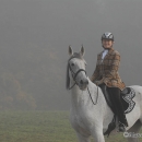 Ronja 2008