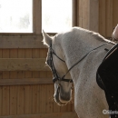 Ronja 2008