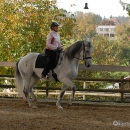 Ronja 2008