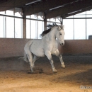 Ronja 2008