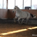 Ronja 2008