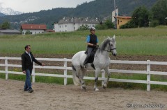 Desmond O'Brien - Klassische Dressur  Damensattel in Imst