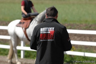 Desmond O'Brien - Klassische Dressur  Damensattel in Imst