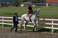 Desmond O'Brien - Klassische Dressur  Damensattel in Imst