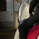 Klassische Dressur mit Ruth Giffels