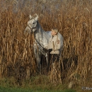 Ronja im Herbst