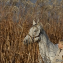 Ronja im Herbst