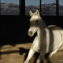 Maestoso Alea und Ronja
