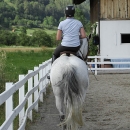 Desmond O'Brien Kurs auf dem Lindenhof in Imst - Juli 2010