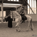 Ronja - Barockes Reiten mit Richard Hinrichs