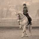 Ronja - Barockes Reiten mit Richard Hinrichs