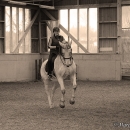 Ronja - Barockes Reiten mit Richard Hinrichs