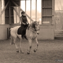 Ronja - Barockes Reiten mit Richard Hinrichs