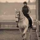 Ronja - Barockes Reiten mit Richard Hinrichs