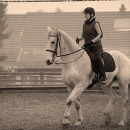 Ronja - Barockes Reiten mit Richard Hinrichs