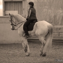 Ronja - Barockes Reiten mit Richard Hinrichs